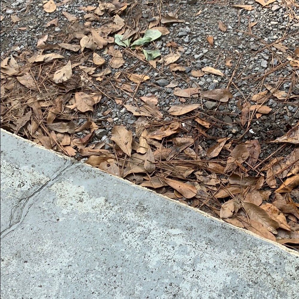 Meet your Posher, Sean